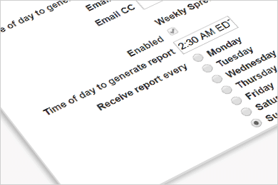 A settings interface displaying options for generating reports, including time, day of the week, and email notifications.