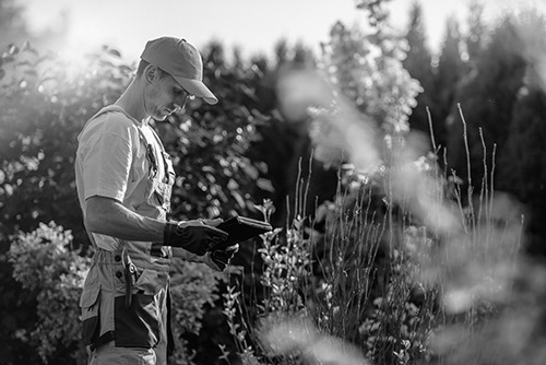 A person in work attire and a cap stands outdoors, looking at a tablet, surrounded by tall plants and trees. Black and white image.