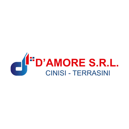 Logo with a blue gradient "d" symbol and text reading "D'AMORE S.R.L." in red, "CINISI - TERRASINI" in blue below.