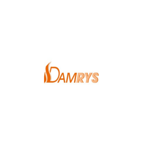 The image shows the word "DAMRYS" in orange text with a flame design integrated into the first letter "D" on a white background.