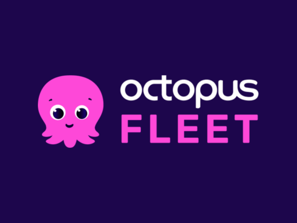 A pink cartoon octopus next to the words "octopus FLEET" in white and pink text on a dark purple background.