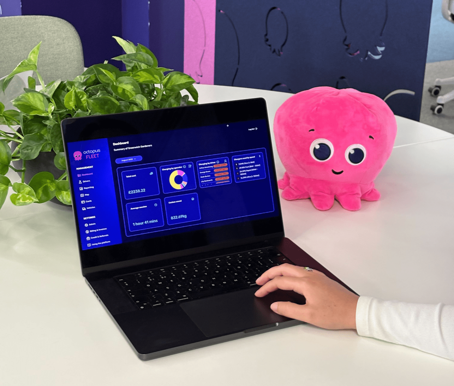 Person using a laptop displaying a dashboard on a white table, with a potted plant and a pink octopus soft toy beside it.